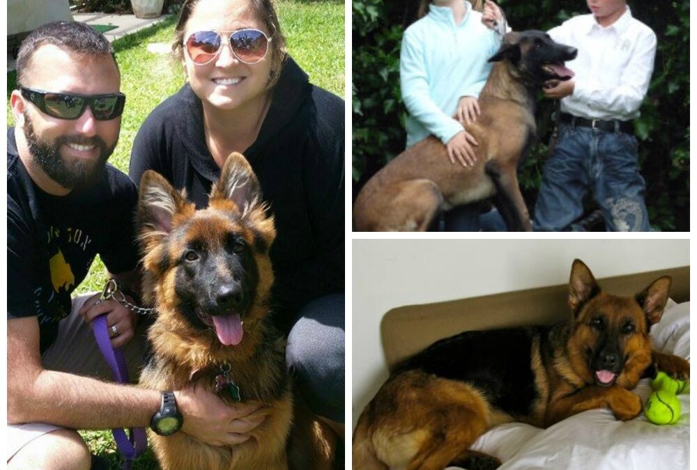 Celebrating GatorlandK9 Alumni