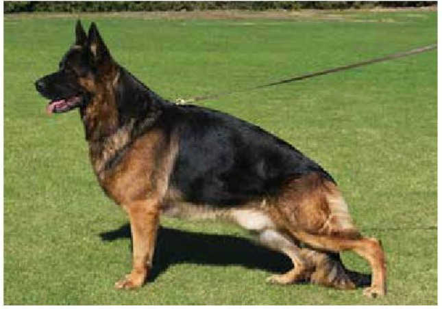 Ted Hoppe Answers questions on Importing