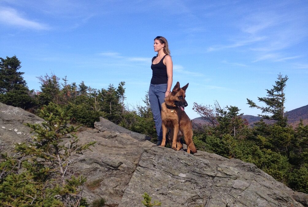 Hannibal and Noro – Testimonial Protection Dog