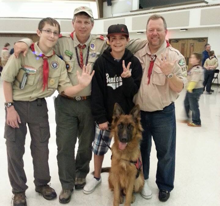 Warrior The Service Dog